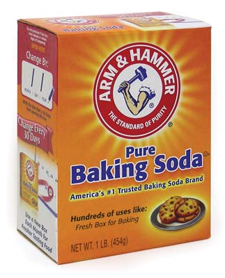[10417] ARM & HAMMER BAKING SODA 1 LB  (24 Pack)